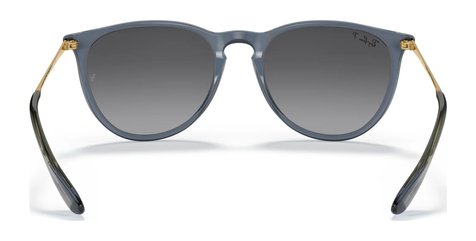 Ray-Ban ERIKA RB4171 Sunglasses | Size 54