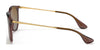 Ray-Ban ERIKA RB4171 Sunglasses | Size 54 / Light Havana №710/71 / G-15 Green (3N 12.9%)