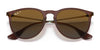 Ray-Ban ERIKA RB4171 Sunglasses | Size 54 / Light Havana №710/71 / G-15 Green (3N 12.9%)