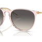 Transparent Pink №674211