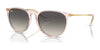Ray-Ban ERIKA RB4171 Sunglasses | Size 54 / Transparent Pink №674211 / Grey (2N 22.8%)