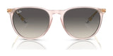 Ray-Ban ERIKA RB4171 Sunglasses | Size 54