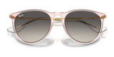 Ray-Ban ERIKA RB4171 Sunglasses | Size 54