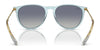 Ray-Ban ERIKA RB4171 Sunglasses | Size 54 / Light Havana №710/71 / G-15 Green (3N 12.9%)