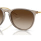 Transparent Light Brown №674413