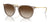 Ray-Ban ERIKA RB4171 Sunglasses | Size 54 / Transparent Light Brown №674413