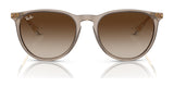 Ray-Ban ERIKA RB4171 Sunglasses | Size 54