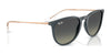 Ray-Ban ERIKA RB4171 Sunglasses | Size 54 / Light Havana №710/71 / G-15 Green (3N 12.9%)