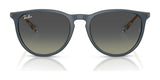 Ray-Ban ERIKA RB4171 Sunglasses | Size 54