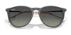 Ray-Ban ERIKA RB4171 Sunglasses | Size 54 / Light Havana №710/71 / G-15 Green (3N 12.9%)