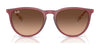 Ray-Ban ERIKA RB4171 Sunglasses | Size 54 / Light Havana №710/71 / G-15 Green (3N 12.9%)