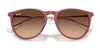 Ray-Ban ERIKA RB4171 Sunglasses | Size 54 / Light Havana №710/71 / G-15 Green (3N 12.9%)