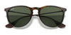 Ray-Ban ERIKA RB4171 Sunglasses | Size 54 / Light Havana №710/71 / G-15 Green (3N 12.9%)