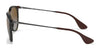 Ray-Ban ERIKA RB4171 Sunglasses | Size 54 / Light Havana №710/71 / G-15 Green (3N 12.9%)