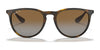 Ray-Ban ERIKA RB4171 Sunglasses | Size 54 / Light Havana №710/71 / G-15 Green (3N 12.9%)