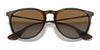 Ray-Ban ERIKA RB4171 Sunglasses | Size 54 / Light Havana №710/71 / G-15 Green (3N 12.9%)