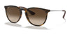 Ray-Ban ERIKA RB4171 Sunglasses | Size 54 / Rubber Havana №865/13 / Brown (3N 16%)