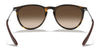 Ray-Ban ERIKA RB4171 Sunglasses | Size 54 / Light Havana №710/71 / G-15 Green (3N 12.9%)
