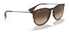 Ray-Ban ERIKA RB4171 Sunglasses | Size 54 / Light Havana №710/71 / G-15 Green (3N 12.9%)
