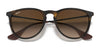 Ray-Ban ERIKA RB4171 Sunglasses | Size 54 / Light Havana №710/71 / G-15 Green (3N 12.9%)