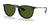 Ray-Ban ERIKA RB4171F Sunglasses / Black №601/2P