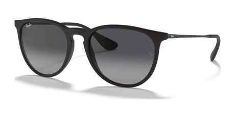 Ray-Ban ERIKA RB4171F Sunglasses