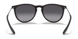 Ray-Ban ERIKA RB4171F Sunglasses