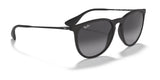 Ray-Ban ERIKA RB4171F Sunglasses