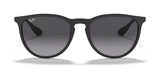 Ray-Ban ERIKA RB4171F Sunglasses