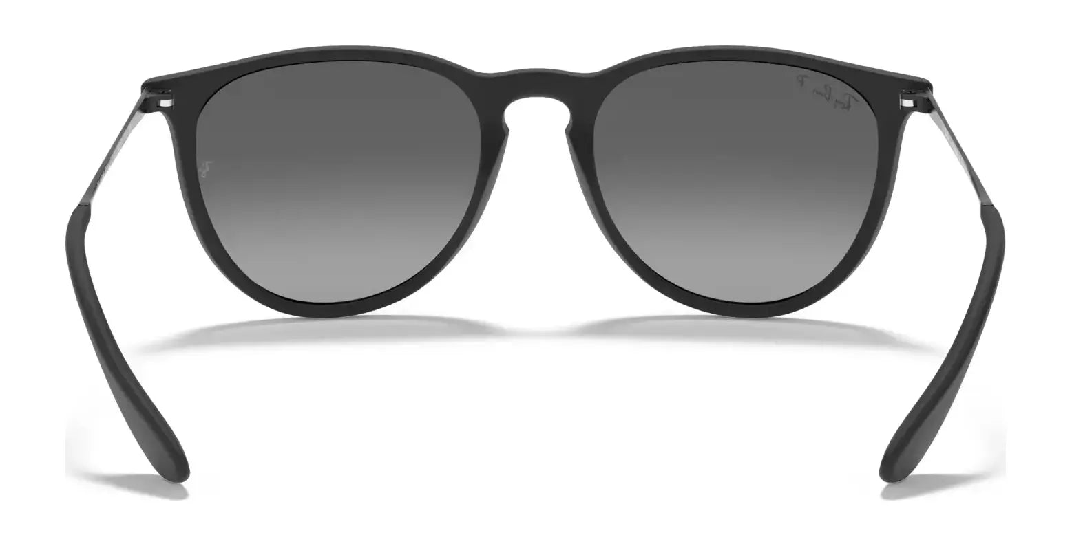 Ray-Ban ERIKA RB4171F Sunglasses