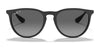 Ray-Ban ERIKA RB4171F Sunglasses / Havana №865/13 / Brown Gradient (3N 16%) / Size 54