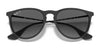 Ray-Ban ERIKA RB4171F Sunglasses / Havana №865/13 / Brown Gradient (3N 16%) / Size 54