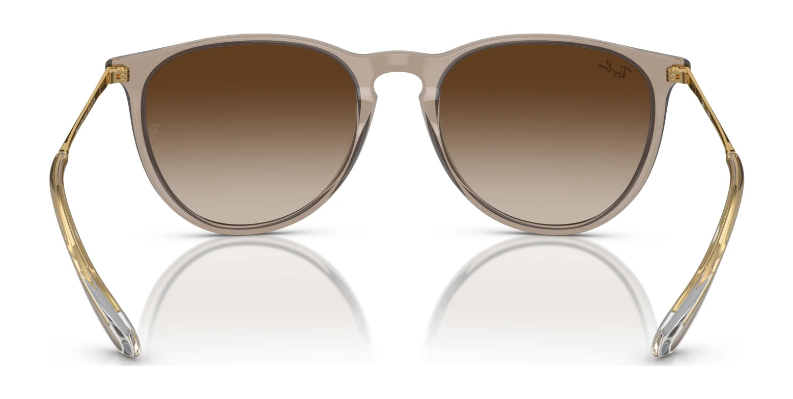 Ray-Ban ERIKA RB4171F Sunglasses