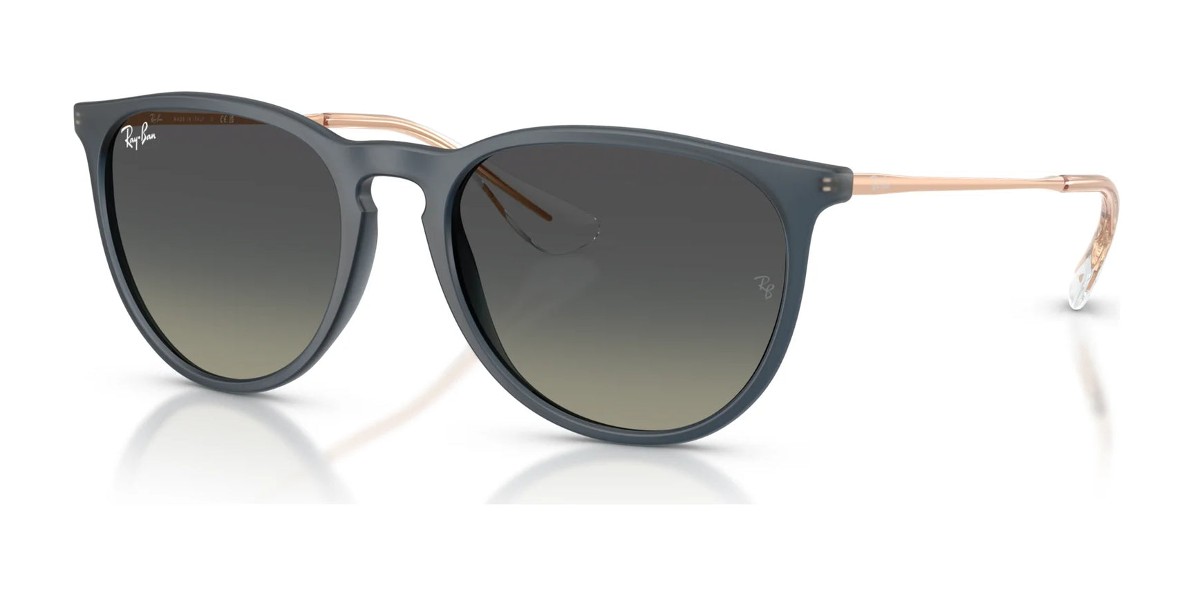 Ray-Ban ERIKA RB4171F Sunglasses