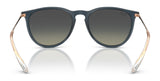 Ray-Ban ERIKA RB4171F Sunglasses