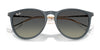 Ray-Ban ERIKA RB4171F Sunglasses / Havana №865/13 / Brown Gradient (3N 16%) / Size 54