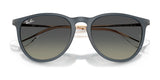 Ray-Ban ERIKA RB4171F Sunglasses