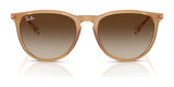 Ray-Ban ERIKA RB4171F Sunglasses