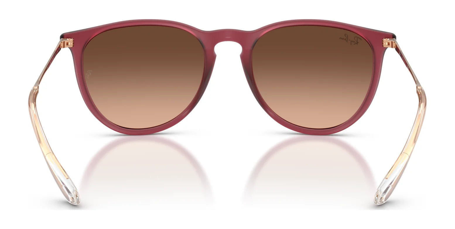 Ray-Ban ERIKA RB4171F Sunglasses