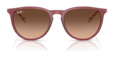 Ray-Ban ERIKA RB4171F Sunglasses