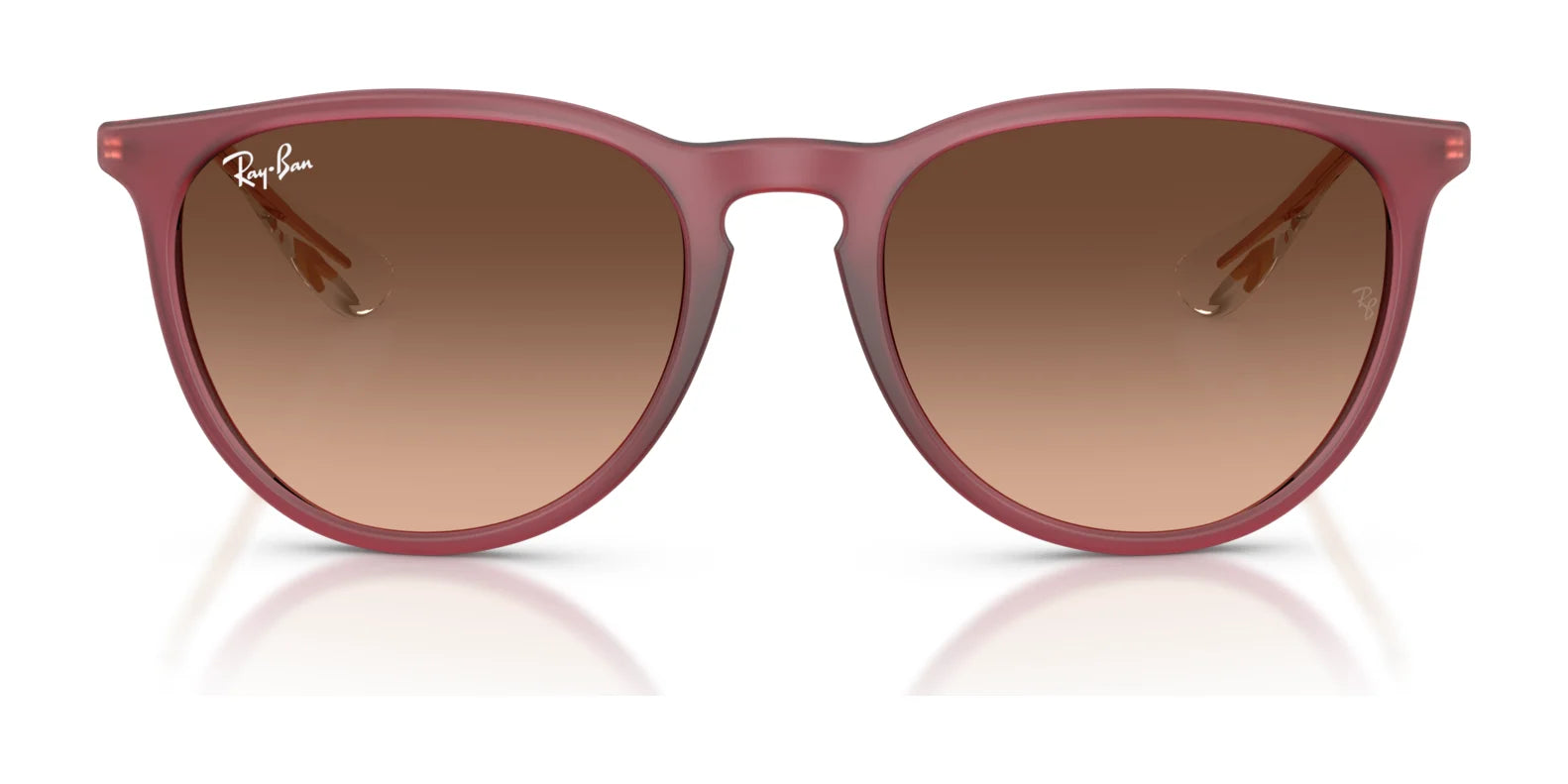 Ray-Ban ERIKA RB4171F Sunglasses