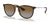 Ray-Ban ERIKA RB4171F Sunglasses / Light Havana №710/T5
