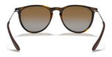 Ray-Ban ERIKA RB4171F Sunglasses