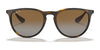 Ray-Ban ERIKA RB4171F Sunglasses / Havana №865/13 / Brown Gradient (3N 16%) / Size 54