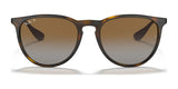 Ray-Ban ERIKA RB4171F Sunglasses