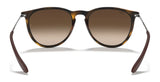 Ray-Ban ERIKA RB4171F Sunglasses