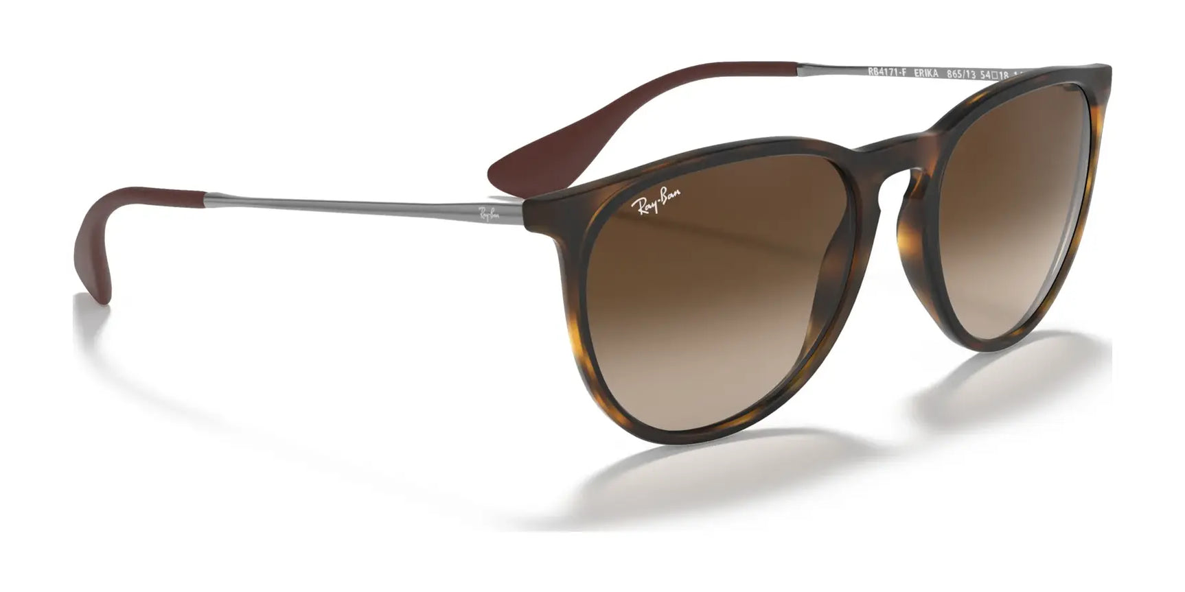 Ray-Ban ERIKA RB4171F Sunglasses