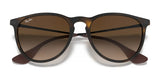 Ray-Ban ERIKA RB4171F Sunglasses