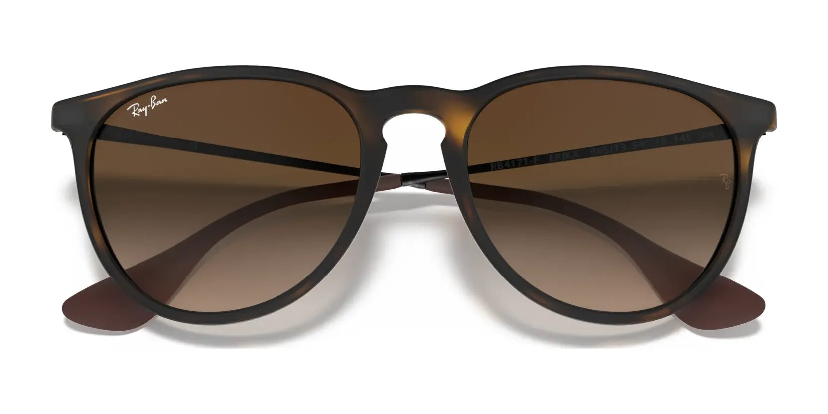 Ray-Ban ERIKA RB4171F Sunglasses