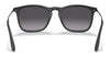 Ray-Ban CHRIS RB4187 Sunglasses | Size 54 / Light Havana №710/71 / Dark Green (3N 12.9%)